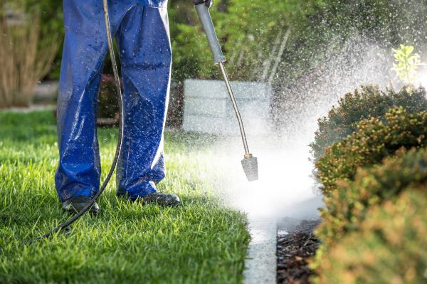 Cost of Curb Cleaning in Wilkes Barre