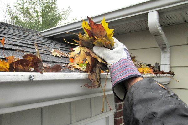 Cost of Eaves Cleaning in Wilkes Barre
