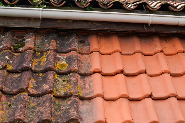 Industrial Roof Cleaning in Wilkes Barre