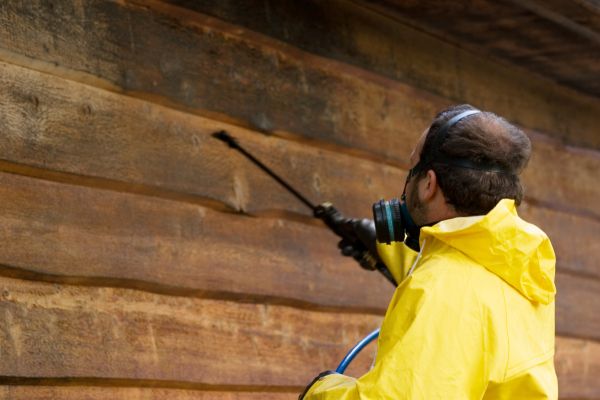 Cedar Siding Washing in Wilkes Barre